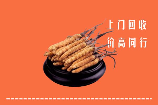 高价求购：红河回收散虫草