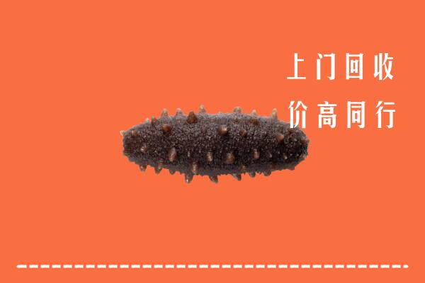 高价求购：红河回收海参